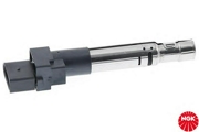 NGK 48065