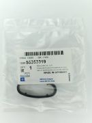 GENERAL MOTORS 55353319