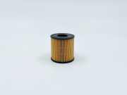 BIG FILTER GB1498
