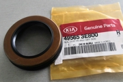 Hyundai-KIA 495653E800
